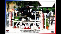neicop d'argent étalon poney