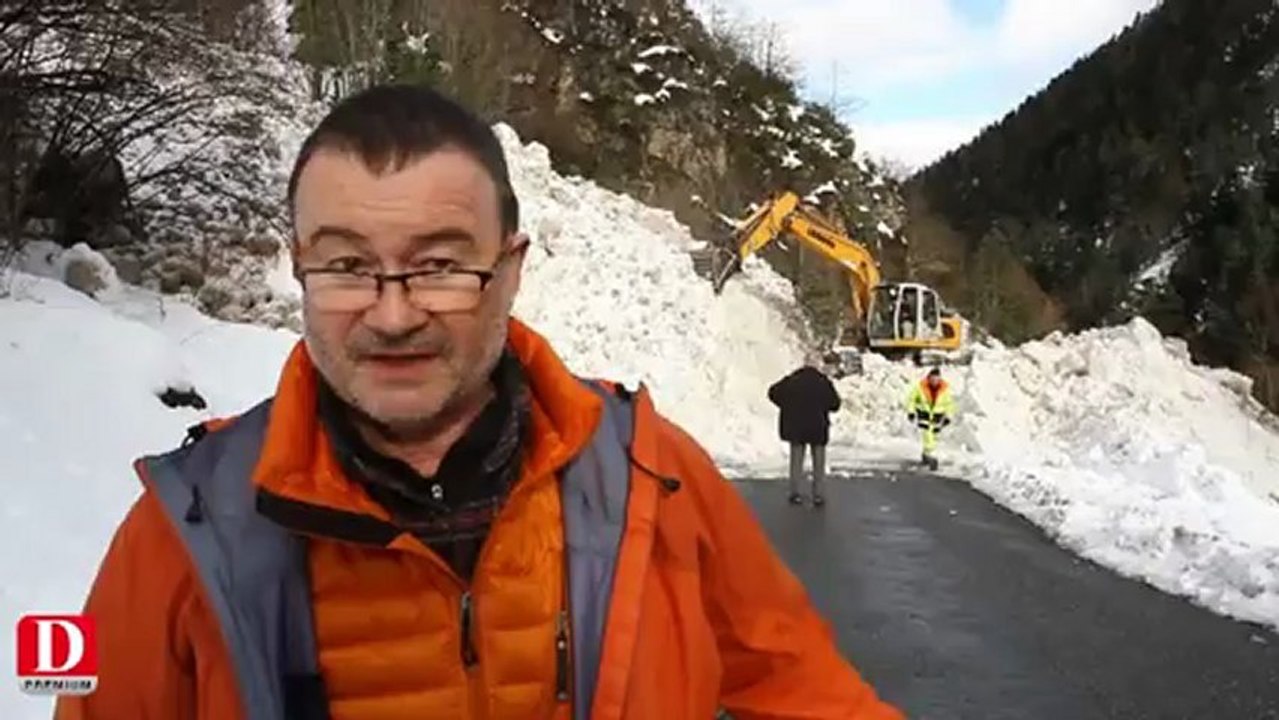 Avalanche Aulon