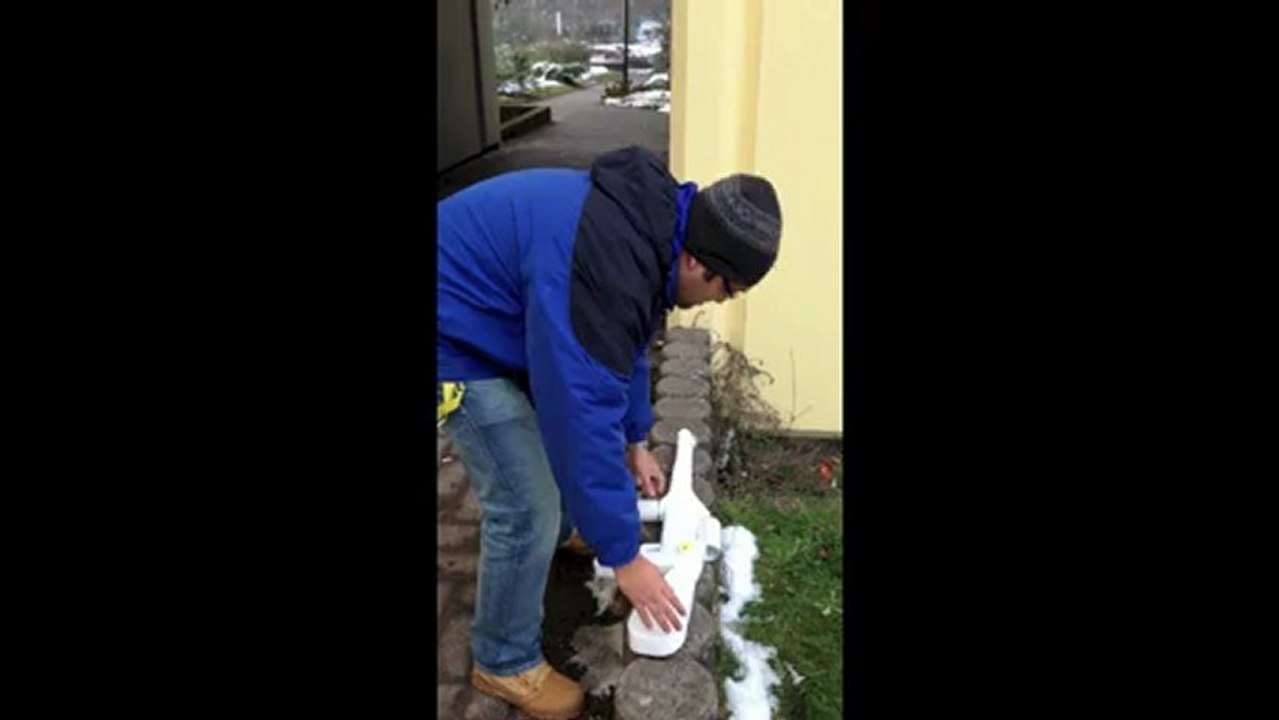 DIS Success cartoon final