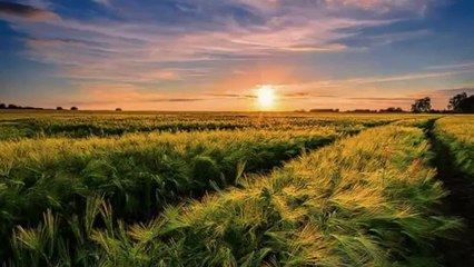 ARİF SAĞ- EZO GELİN