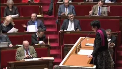 Intervention de Dominique Bertinotti - mardi 29 janvier 2013