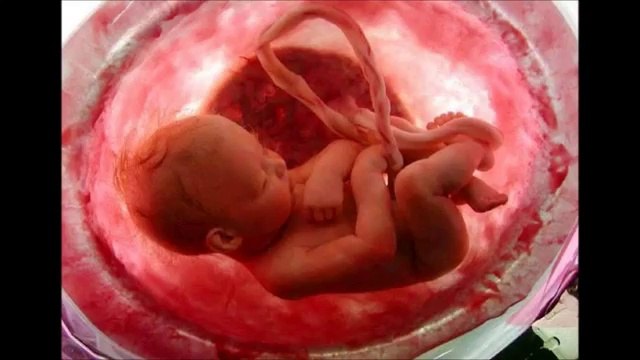 Hasan Dursun - Anneciğim