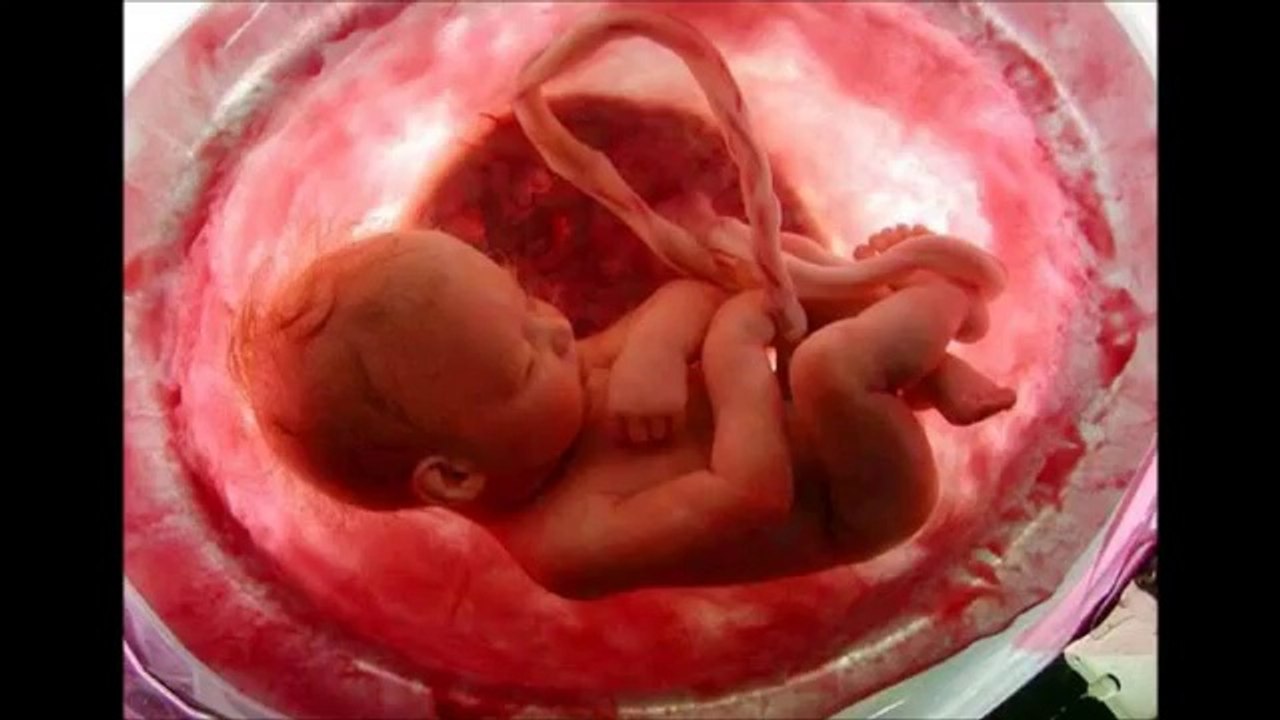 Hasan Dursun   - Anneciğim