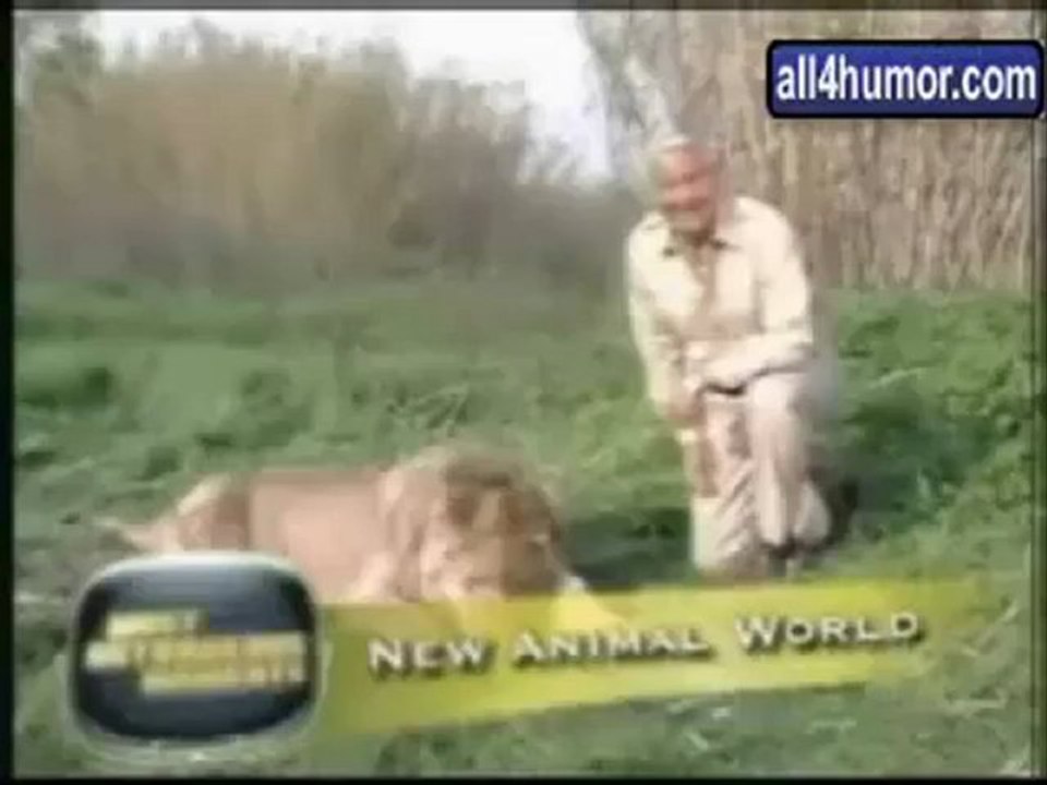 Funny Animals