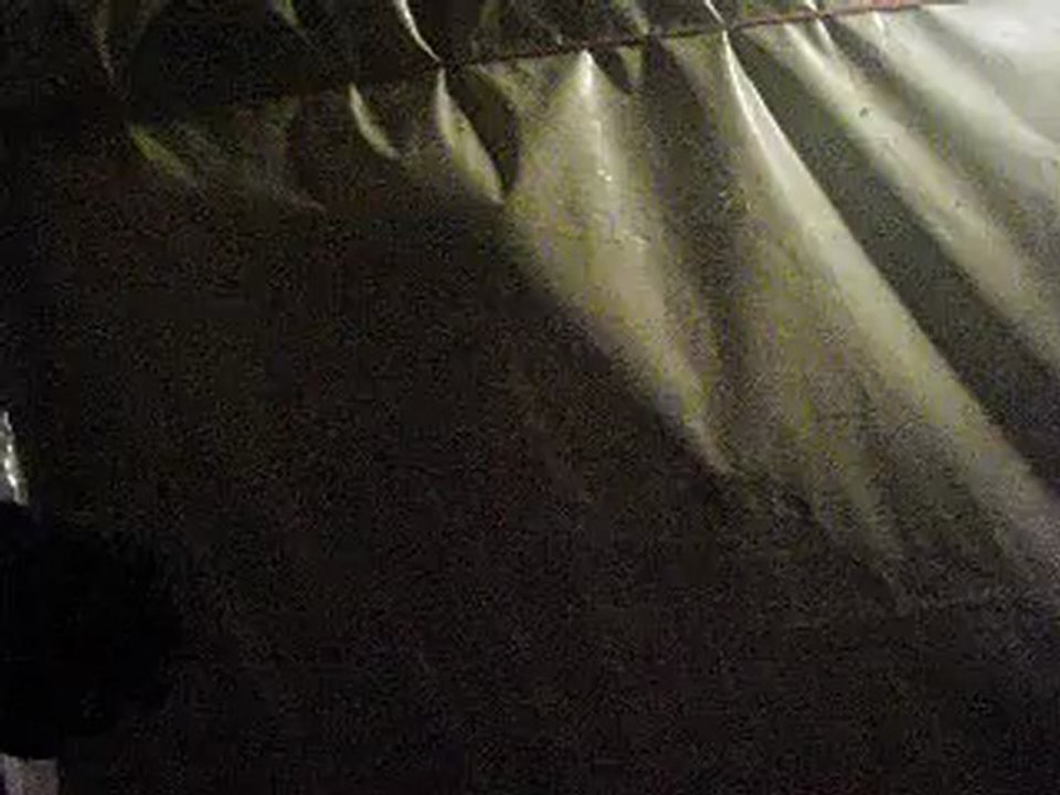 la vie est belle musique -fodellemerci :)