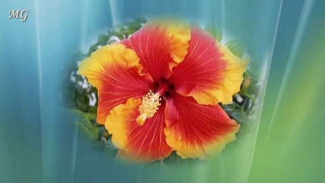 Музика и цвят - Music and color