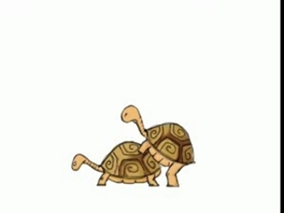 video drole_trip tortue ^^