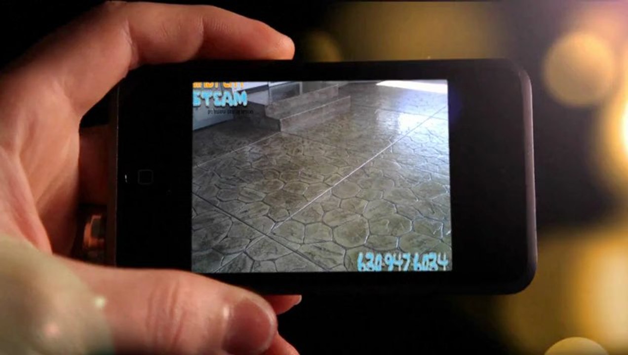 Best Carpet Cleaning Company in Downers Grove, IL 60516 - Windy City Steam