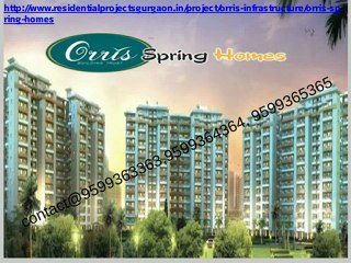 Orris Spring Homes