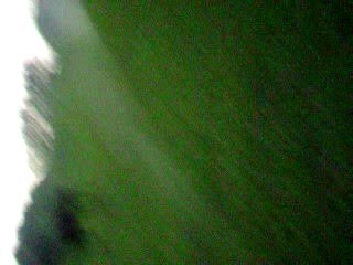 kaline et gallopeuse 004