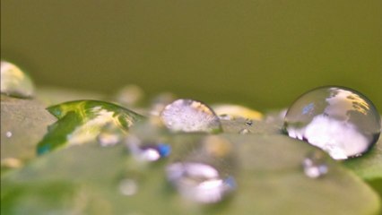 Radio tháng 01/2013 - Tạm biệt mùa thi, Rộn ràng mùa Tết