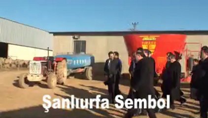 Küçükbaş Hayvan Tesisi