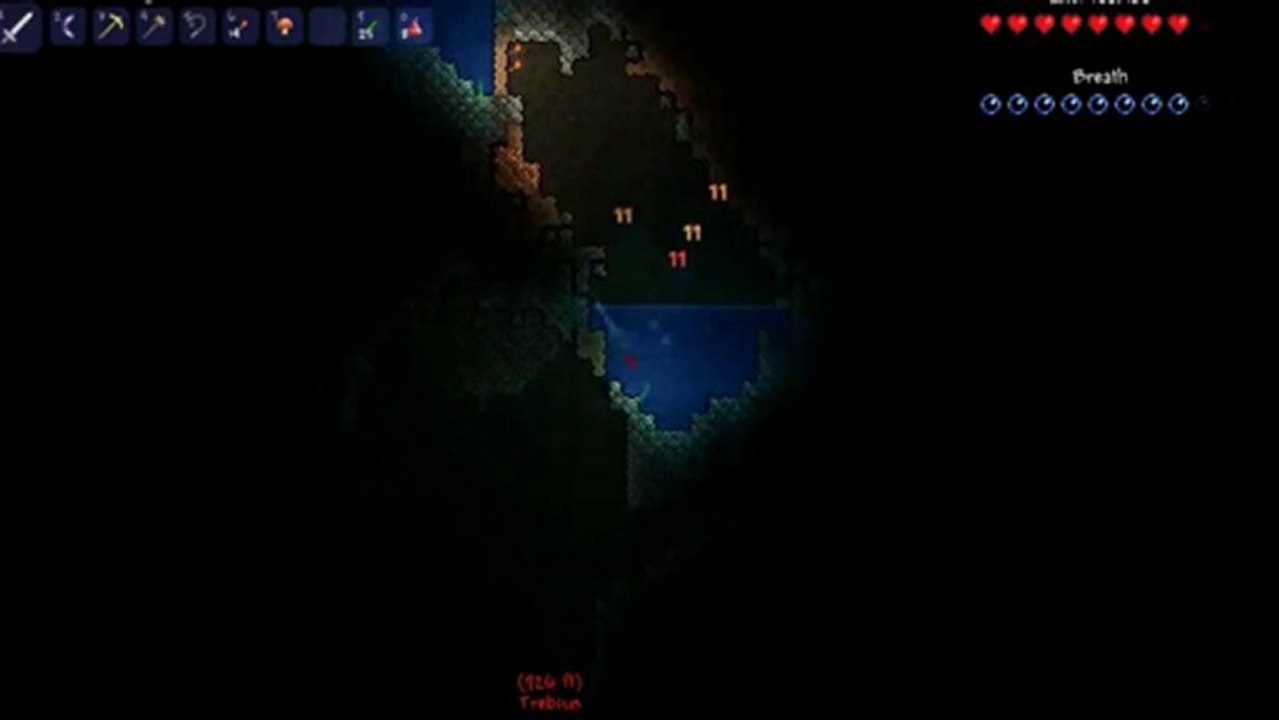 Ich hab keine weiblichen Fans - Terraria17 - Two Idiots Gaming