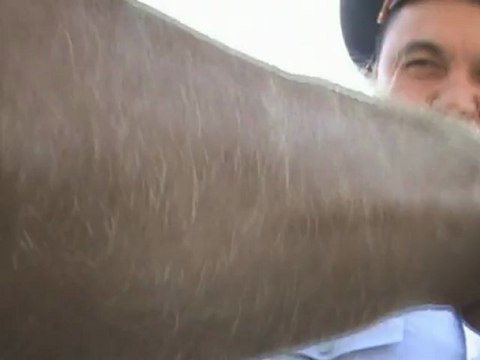 адекватный гаишник Алматы