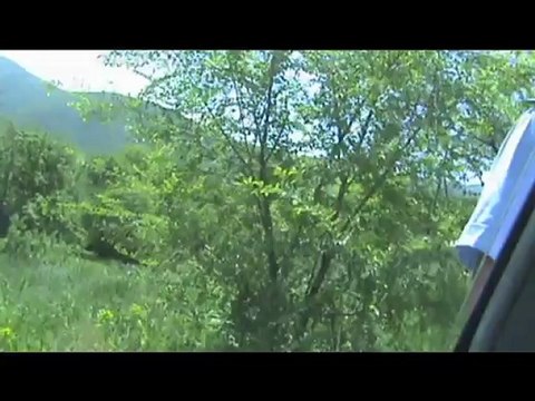 разговор с ГАИ на Каскеленской трассе