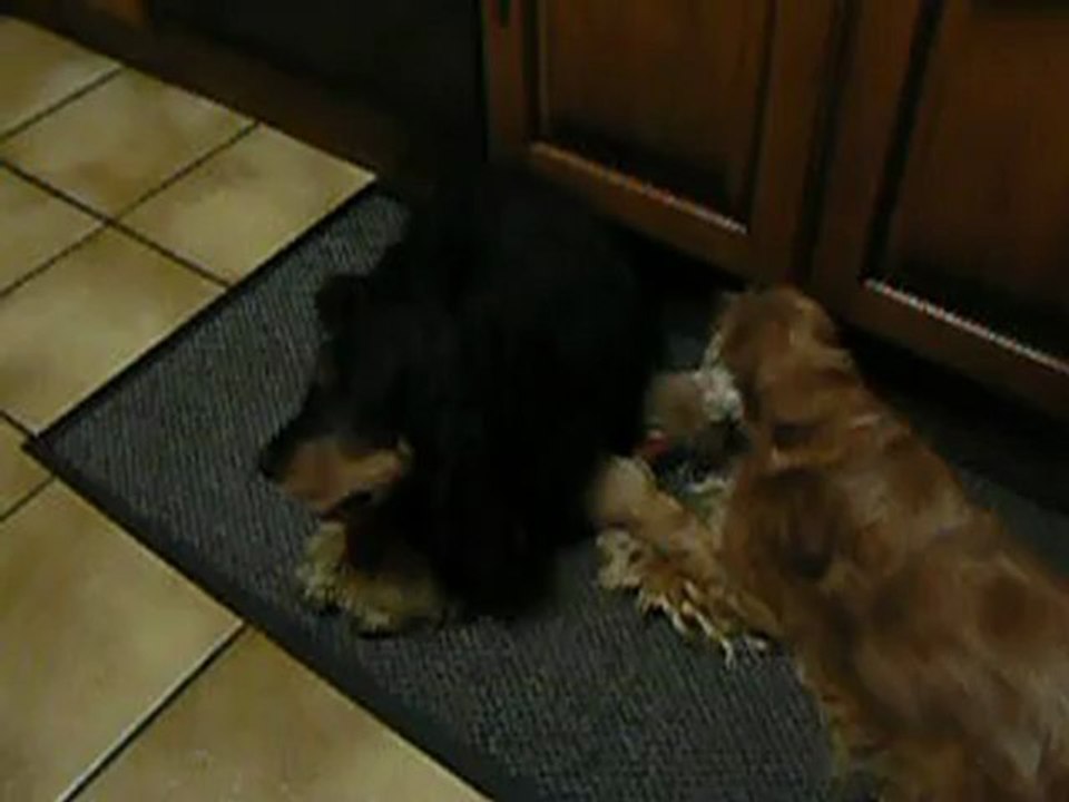 tania et Atthis en plein travail