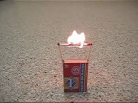 태양성카지노 〕→→↣✻XED700.COM✻↢←←〔 바카라하는법 카지노추천