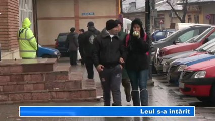 Leul Întărit pentru Stabilitate Financiară 💪