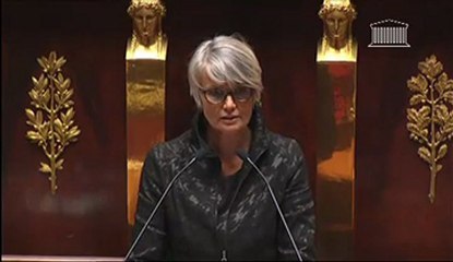 Véronique Massonneau - Discussion générale sur le Mariage pour tous