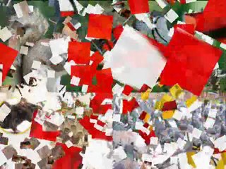 Vancouver Pest Control Professional