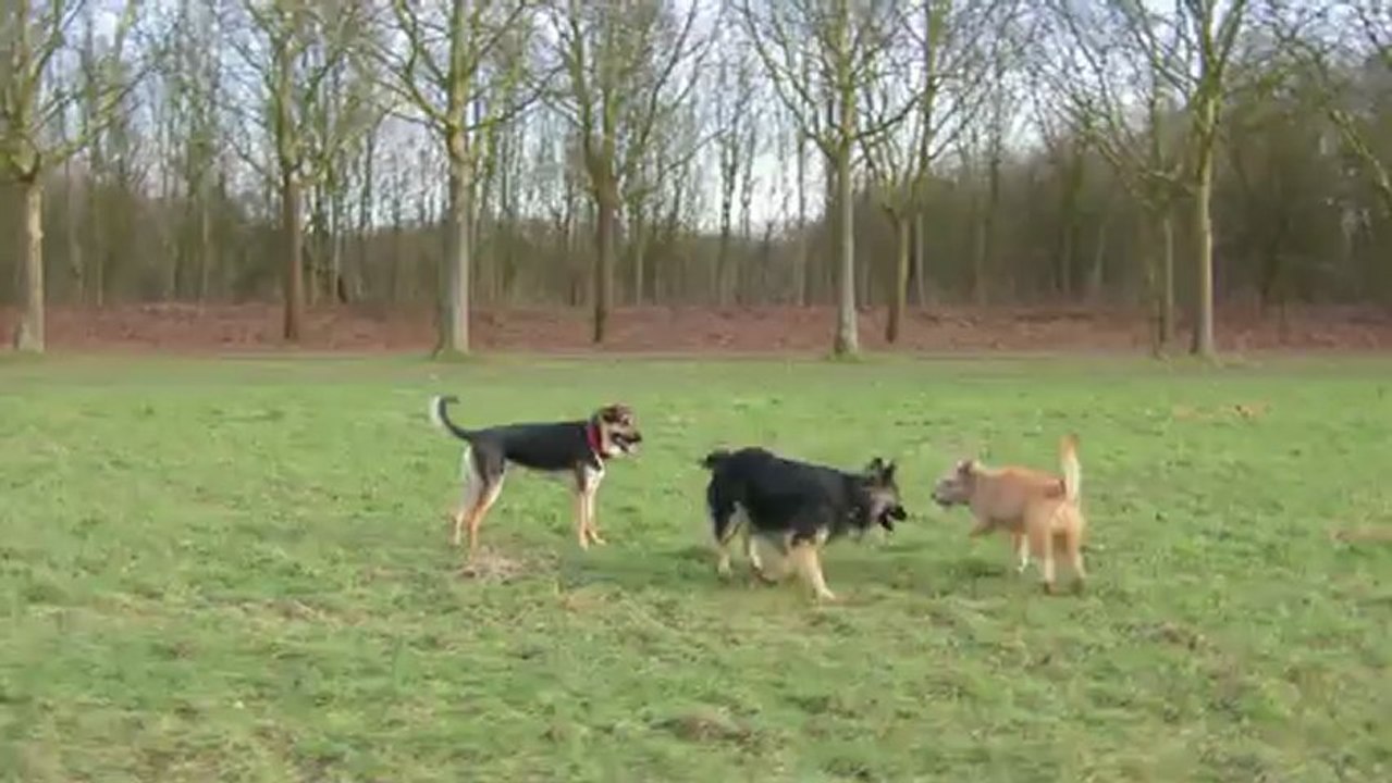Jeux à Vincennes
