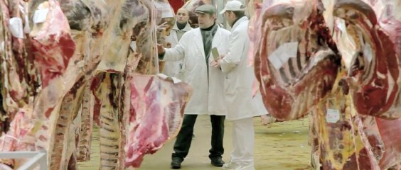 The End, etc...Didier Schneider