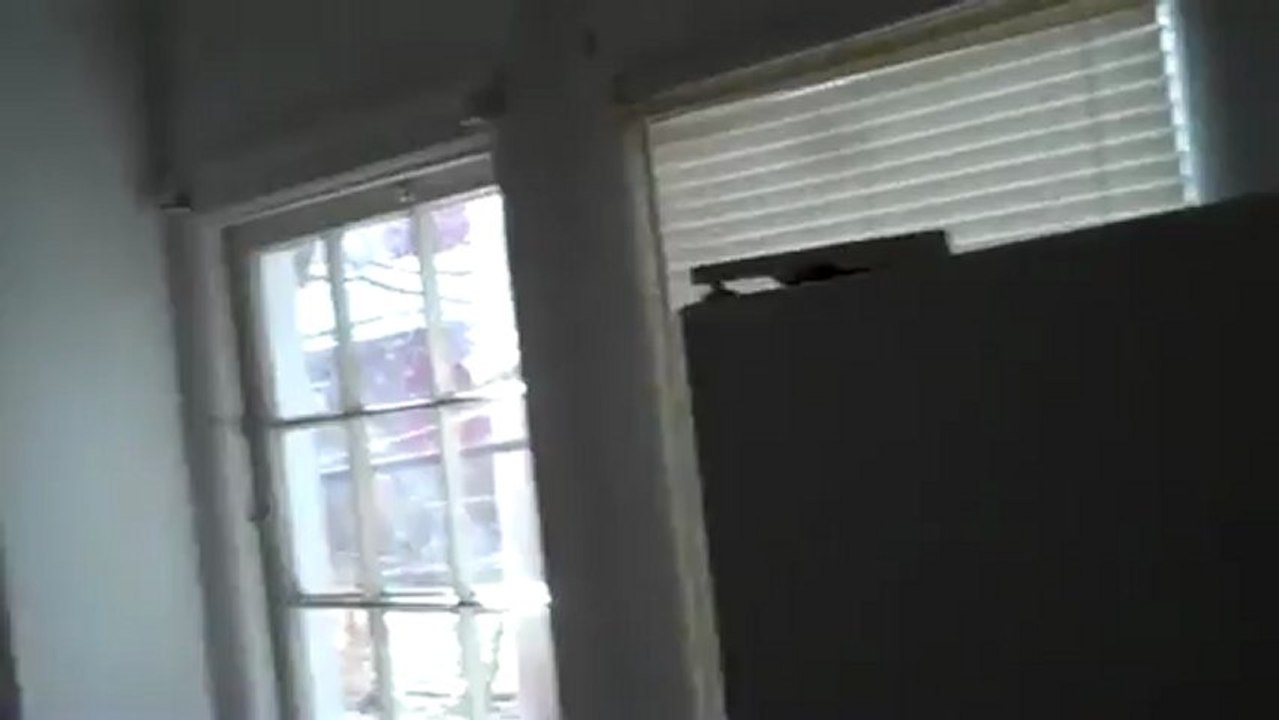 Apartments for Rent York PA - Good Quality and Affordable York PA Apartments for Rent