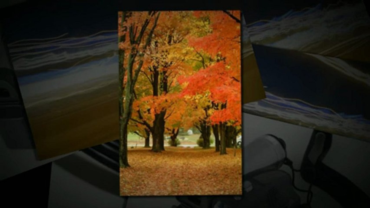 GoPro Camera Accessories - Determining The Right HDMI Cable For Your HD Camera