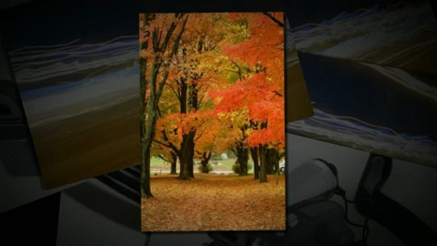 GoPro Camera Accessories - Determining The Right HDMI Cable For Your HD Camera