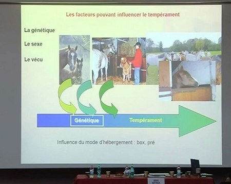 Web tv conférence 2010 - Léa Lansade : Tempérament du cheval : évaluation et application pratique : exemple du BAC - bilan des acquis et du comportement