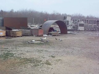 sarı benekli dişi idman3