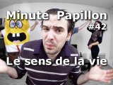 Minute Papillon #42 Le sens de la vie (feat Tal, Bob l'éponge...)