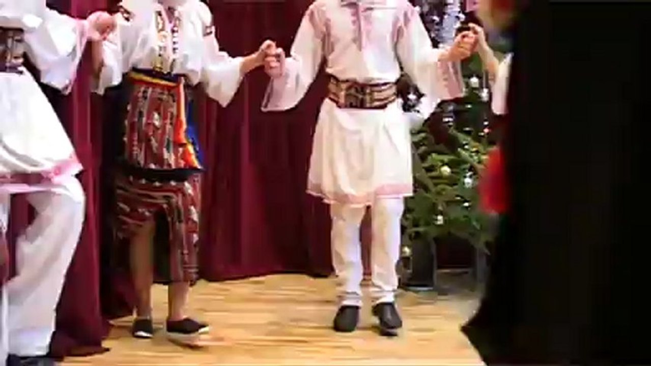 Romanian`s dance #01