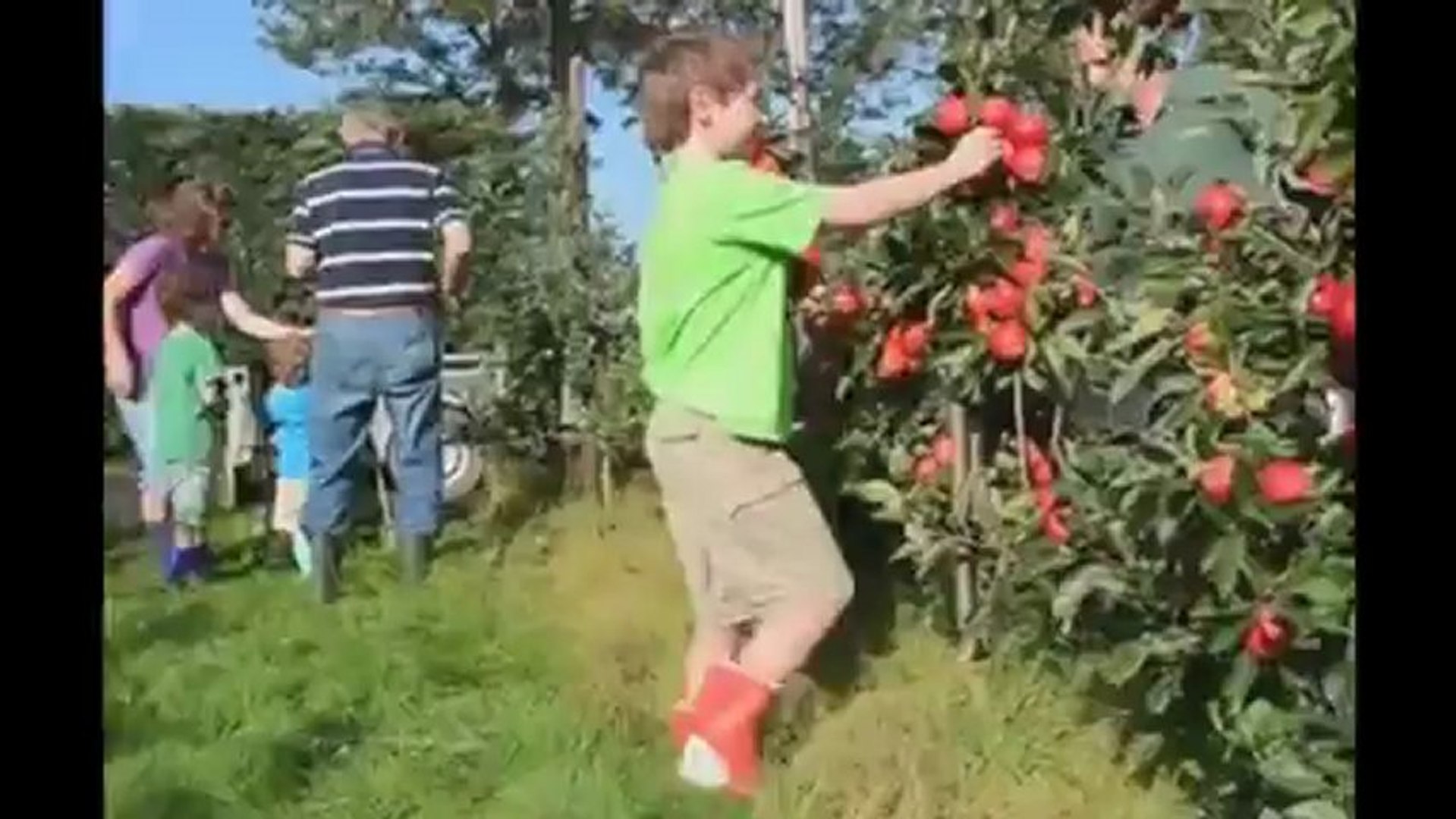 Bodur Klasik Meyve Bahcesi Kurulmasi Bodur Yari Bodur Klasik Elma Bahceleri