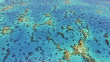 OTT - The Queen Of All Everything