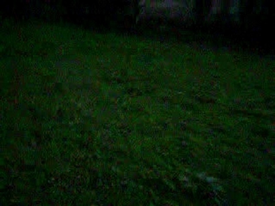 kaline et gallopeuse 005