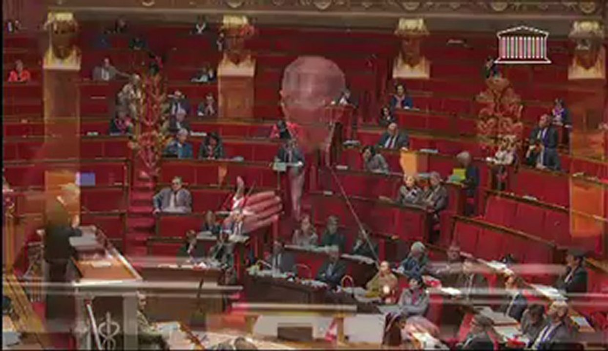 Franck Riester sur l'ouverture du mariage aux couples de même sexe