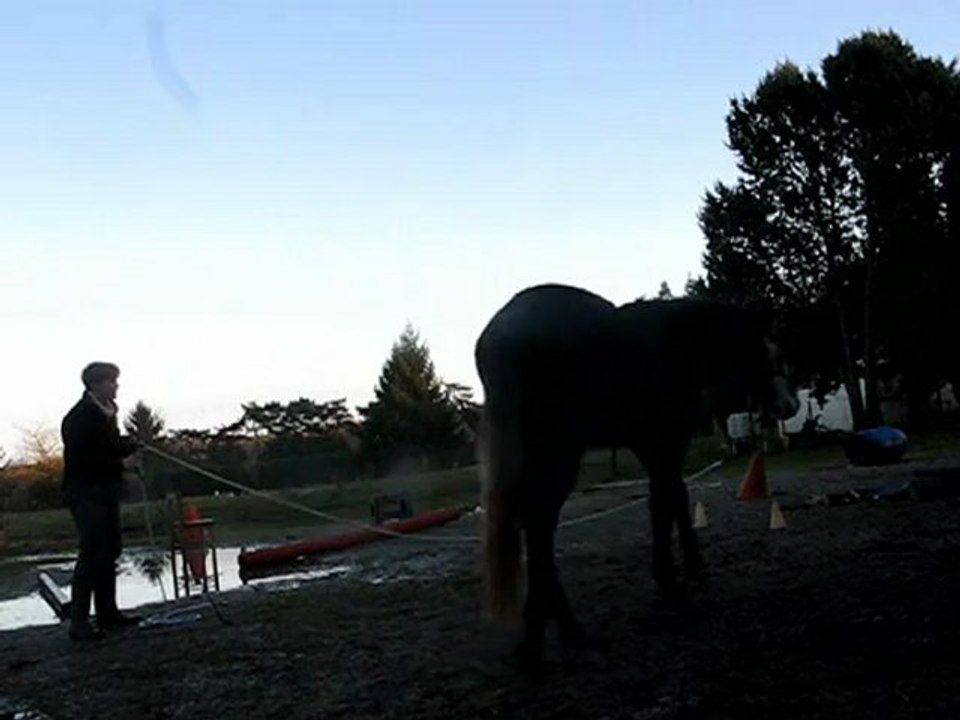 01.13 défi 1 (yoyo entre 2 cones)