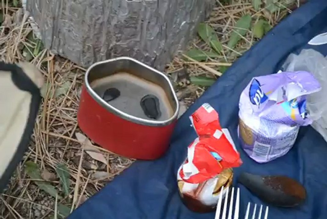 Bivouac/Le matin