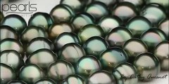 Pearls Australia | Buy Pearls | Tahitian Black Pearls