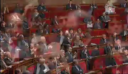 Explication de vote Noel Mamère