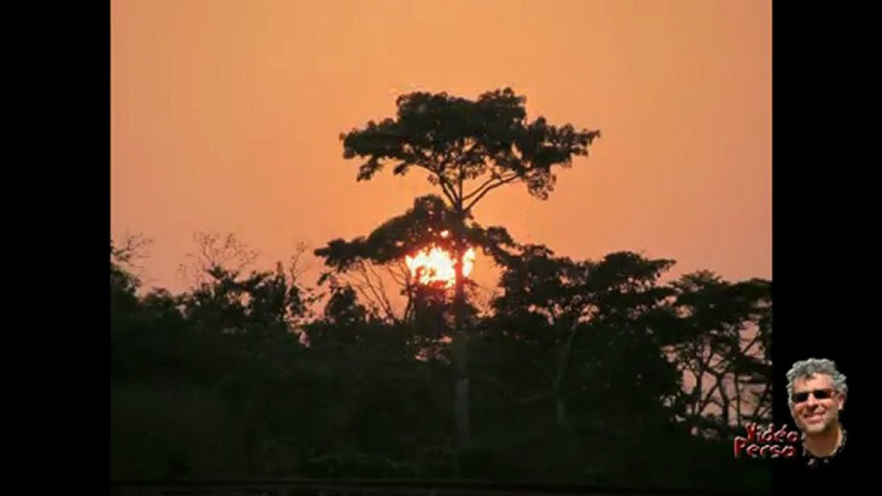 perdu dans les forêts du Togo