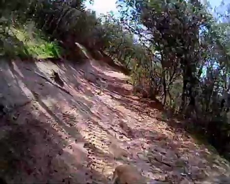 Con el DIablo en Hoyo de Manzanares.