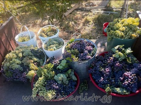 iBRAHIM TATLISES Leylim Ley (Kacarli RESIMLERI )