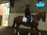 Equitation - Les différentes allures du pas avec Jean-Pierre Tuloup