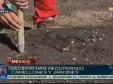 Familias mexicanas producen hortalizas para enfrentar crisis