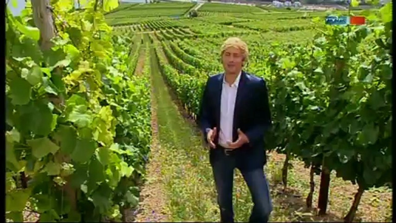 Maxi Arland - Von Anfang an