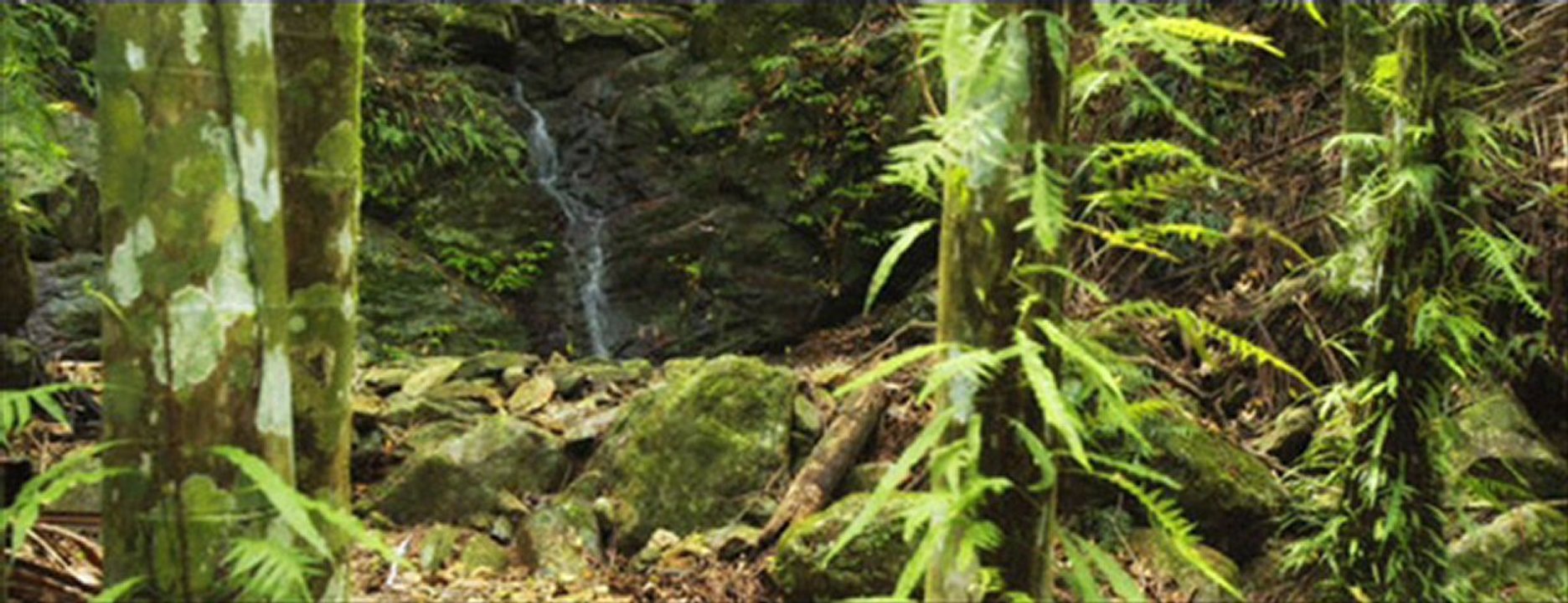 Camp Eden Health Retreat Center in Gold Coast