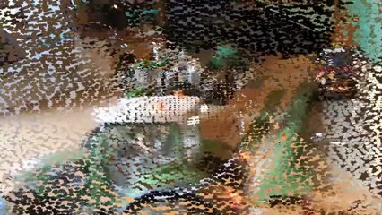 siku control broyeur a lisier en action