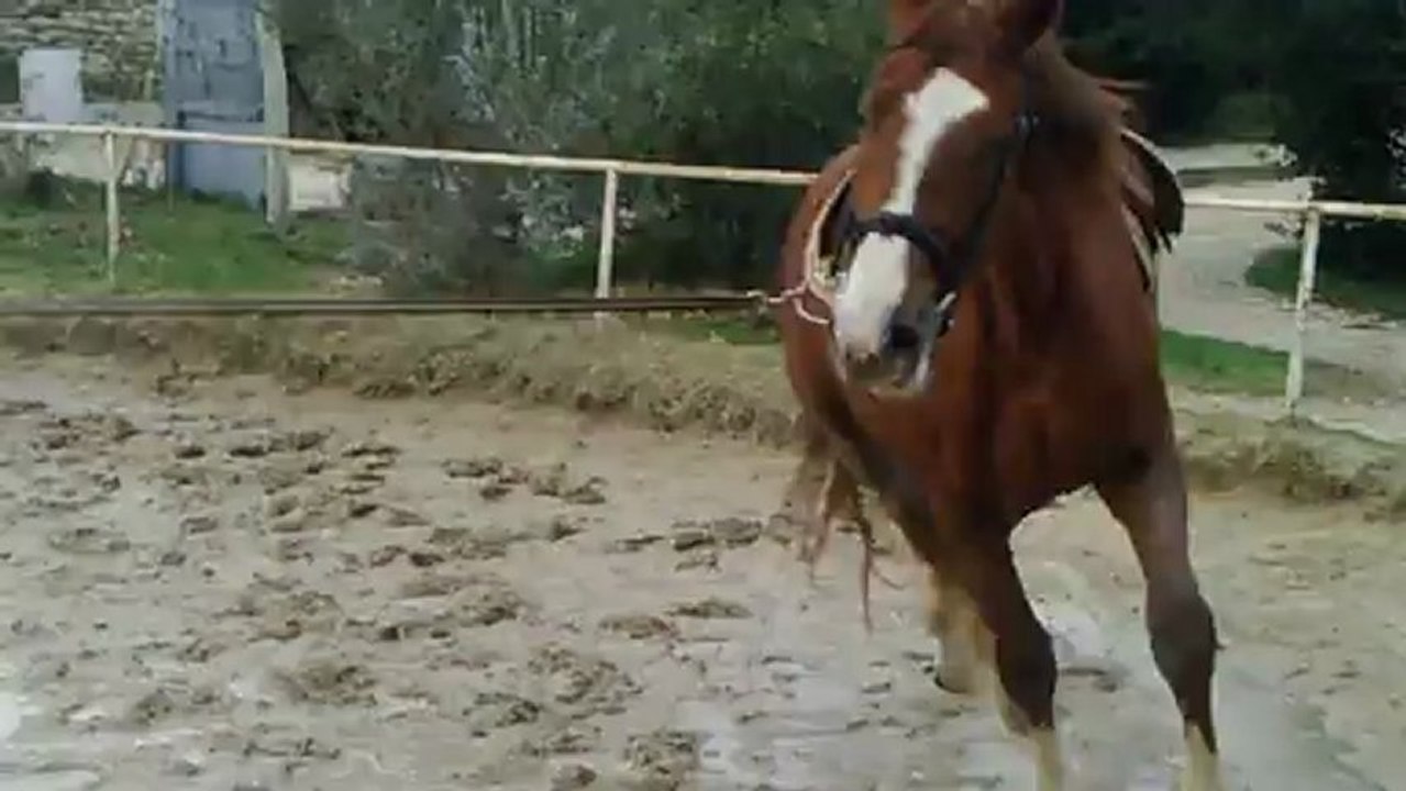 Arome d'Oregon débourrage la selle 1ere